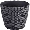 Plastikinis vazonas Prosperplast Splofy, Ø15.7 cm
