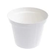 Uniplastex Plastikinis vazonas Unipastex Classic, Ø12 cm