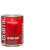 DISPERSINIAI DAŽAI PROFESSIONAL ULTRA MAT 1-X6 PROFESUL
