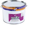 EMAL ALKID DAŽAI 9.5L PENTATOP C BLIZG