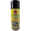 EZ AEROZOLINIS VARIKLIO UŽVEDIMUI STARTING FLUID