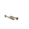 GLTX medvaržčiai su T-17 įpjova, geltonai cinkuoti, TORX20, 4.0x50/30 (40 vnt.)