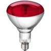Lemputė Philips 250 W 22314