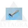 VARŽTAS DIN603 M6X60 ZN