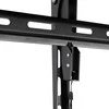 Faber N TV laikiklis FN C6T 55''-120'' (iki 120kg, VESA 90*60cm)