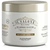 AlfaParf Kaukė sausiems ir blankiems plaukams (Glorious Mask)