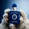 Anfar Azure Spirit PP kvepalai vyrams, 100 ml