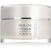 Artdeco HYALURONIC INTENSIVE CREAM maitinamoji procedūra 50 ml