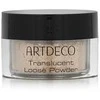 Artdeco permatoma biri pudra, 8 g