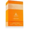 Auraa Desire Destiny PP kvepalai vyrams, 100 ml