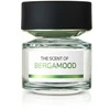 Bmw The Scent Of Bergamood EDP parfumuotas vanduo vyrams, 100 ml