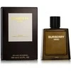 Burberry Hero PP kvepalai vyrams, 100 ml