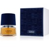 French Avenue Lumiere Garcon EDP parfumuotas vanduo vyrams, 100 ml