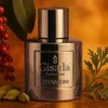 Gisada Titanium For Men EDP Purškiklis, 50 ml