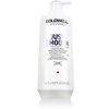 GOLDWELL_Dualsenses Just Smooth švelninamasis šampūnas 1000 ml