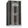 Hamidi Celestial Wood EDP parfumuotas vanduo unisex, 100 ml