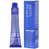Inebrya Bionic Color Ash (10/1 Skirtas šviesiems plaukams Platinum Ash) 100 ml