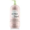 Inebrya Ice Kreminis Frequent Best Care Conditioner kasdienio naudojimo kondicionierius, 1000 ml