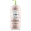 Inebrya Ice Kreminis Frequent Best Care Conditioner kasdienio naudojimo kondicionierius, 1000 ml