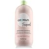 Inebrya Ice Kreminis Frequent Refreshing Šampūnas gaivinantis šampūnas, 1000 ml