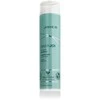 Joico - INNERJOI drėkinamasis šampūnas 300 ml