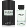Kenneth Cole Energy EDT tualetinis vanduo unisex, 100 ml