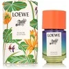 Loewe Paula's Ibiza Eclectic EDT tualetinis vanduo unisex, 50 ml