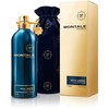 Montale Paris Aoud Ambre parfuminis purškiklis 100ml