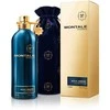 Montale Paris Aoud Ambre parfuminis purškiklis 100ml