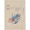 Ondo Beauty 36.5 CHOK-CHOK Hyaluronic Acid & Algae Moisture Boosting Mask 25 g