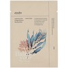 Ondo Beauty 36.5 CHOK-CHOK Hyaluronic Acid &amp; Algae Moisture Boosting Mask 25 g