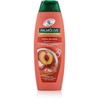 Šampūnas Palmolive Hydra Balance 2in1 350ml