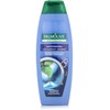 Plaukų šampūnas Palmolive Antiforfora 350ml