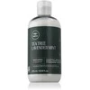 Paul Mitchell arbatmedžio ir levandų bei mėtų drėkinamasis kondicionierius, 300 ml