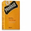 Proraso Wood & Spice Eau De Cologne Odekolonas, 100 ml