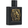 Rayhaan Lion EDP parfumuotas vanduo vyrams, 100 ml