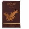 Riiffs Inspiro Men EDP parfumuotas vanduo vyrams, 100 ml