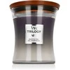 Woodwick Aromatinė žvakė (Trilogy Amethyst Sky), 275 g