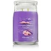 Yankee Candle Aromatinė žvakė Signatūrinis stiklas didelis Stargazing 567 g