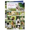 Dėlionė Pexeso MFP 3xA4 Dogs