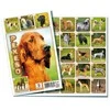 Dėlionė Rappa the pexeso pairs memory game, dogs