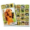 Dėlionė Rappa the pexeso pairs memory game, dogs