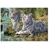 Dėlionė Dino Secret Puzzle 1000 Pieces: Baltas Tiger
