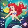 Dėlionė Dino Toys HAPPY PRINCESSES 3x55 puzzle