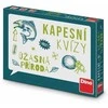 Dino Toys Dino žaislų žaidimas Nuostabi gamta kišeninis viktorina