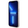 Apple iPhone 13 Pro Guess dėklas 4G Printed Stripe MagSafe (GUHMP13LP4RPSP) rožinės spalvos