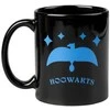 Harry Potter - Ceramic Mug in a Gift Box 350 ml Ravenclaw