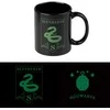 Harry Potter - Ceramic Mug in a Gift Box 350 ml Slytherin