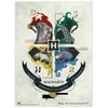 Harry Potter - Set of 2 wall posters 38 x 52 cm