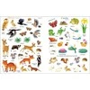 Jiri Models Sticker book Nature